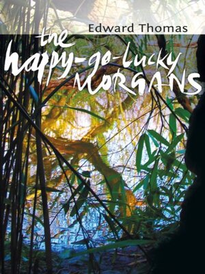 cover image of Happy-Go-Lucky Morgans